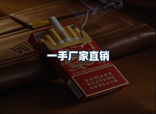 专业团队办公环境